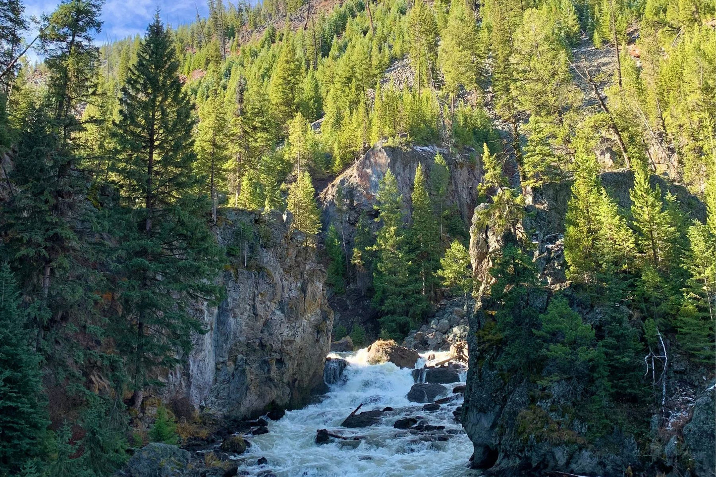 A small collection of moments from Yellowstone.