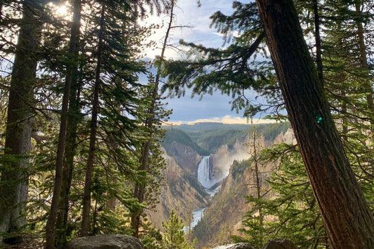 A small collection of moments from Yellowstone.