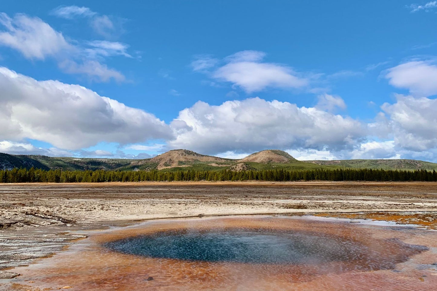 A small collection of moments from Yellowstone.