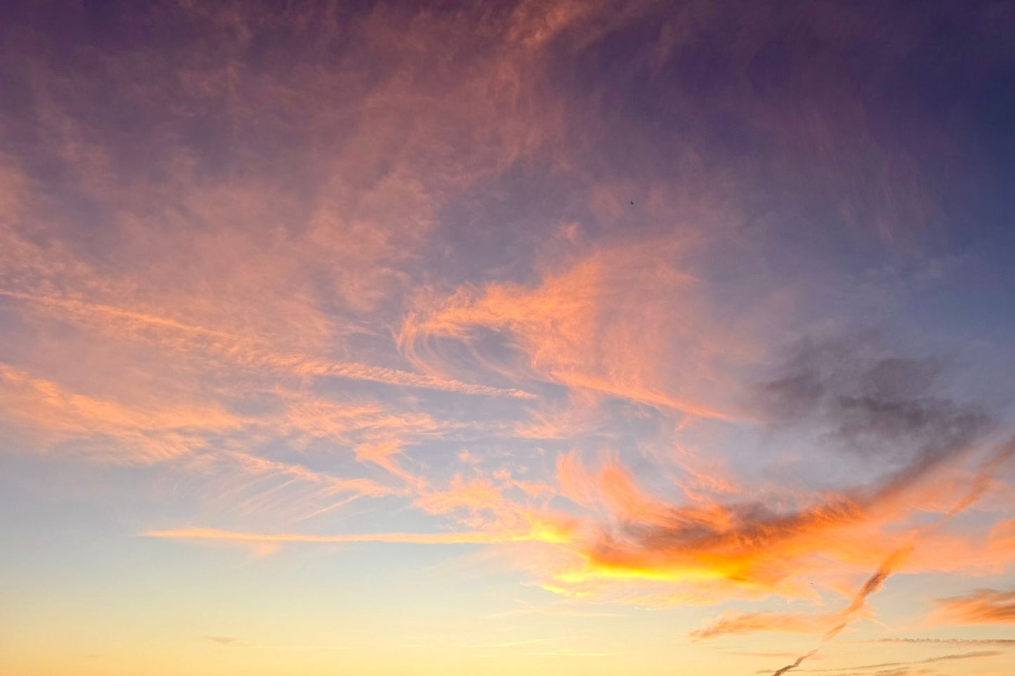 Soft light, quiet endings, and moments worth holding onto.